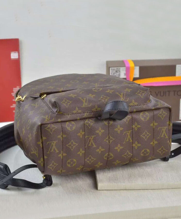 Louis vuitton Palm Springs Backpack MM M41560 Black